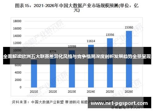全面解读欧洲五大联赛差异化风格与竞争格局深度剖析发展趋势全景呈现