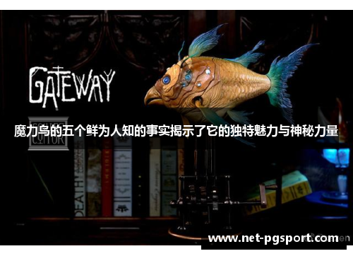 魔力鸟的五个鲜为人知的事实揭示了它的独特魅力与神秘力量