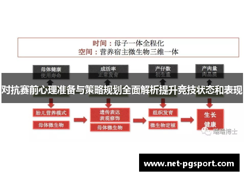 对抗赛前心理准备与策略规划全面解析提升竞技状态和表现