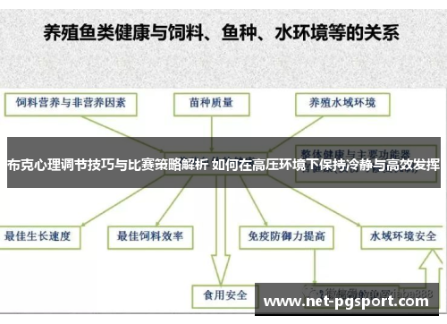 布克心理调节技巧与比赛策略解析 如何在高压环境下保持冷静与高效发挥