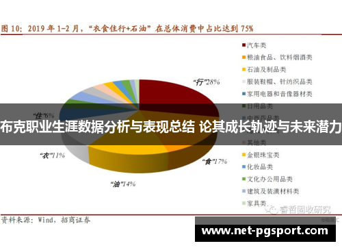 布克职业生涯数据分析与表现总结 论其成长轨迹与未来潜力