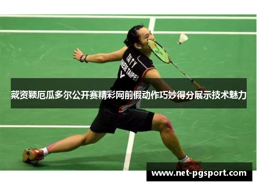 戴资颖厄瓜多尔公开赛精彩网前假动作巧妙得分展示技术魅力